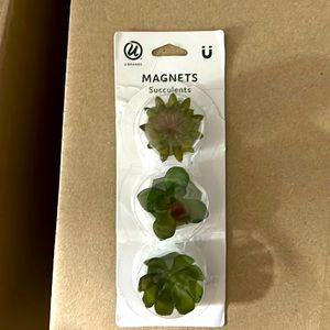 Succulent magnets